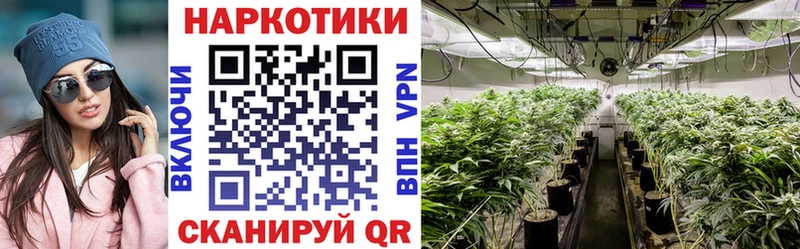 Конопля Артёмовск