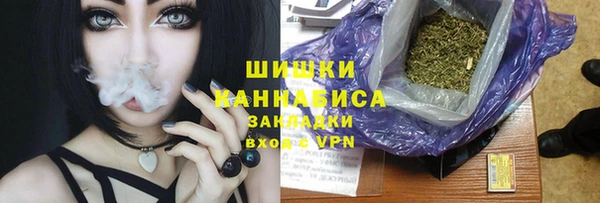 стаф Баксан