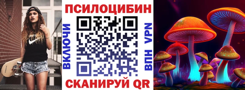 Галлюциногенные грибы Psilocybe  Купить закладки  Артёмовск 